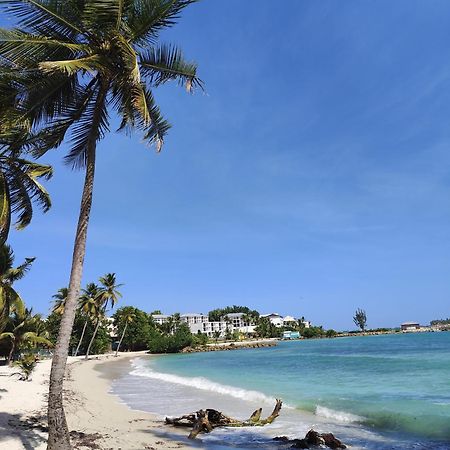 Studio West-Indies Residence Savane Et Archipel Le Gosier  Eksteriør bilde